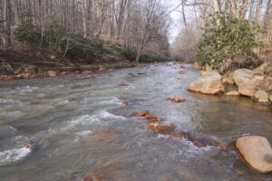 'We have a lot to lose now': FOC water chemistry results cause concern after T&T Mine event